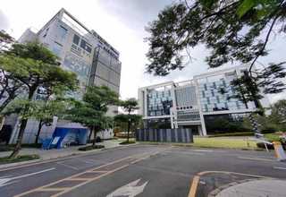 太仓花旗木方公司