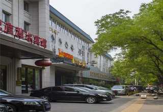 福建苏丹草草种价格