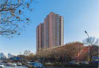 紫金附近网络推广哪里好